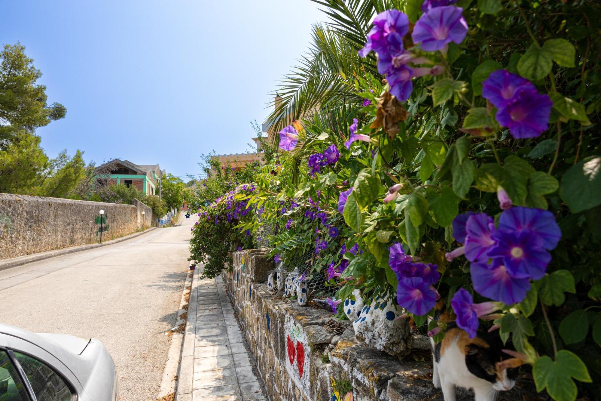 Domus City Apartment Argostoli  Eksteriør bilde